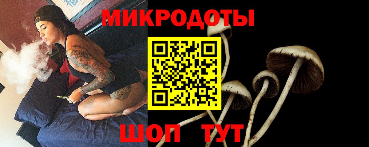 Прохладный  Галлюциногенные грибы мицелий  Вход с VPN 